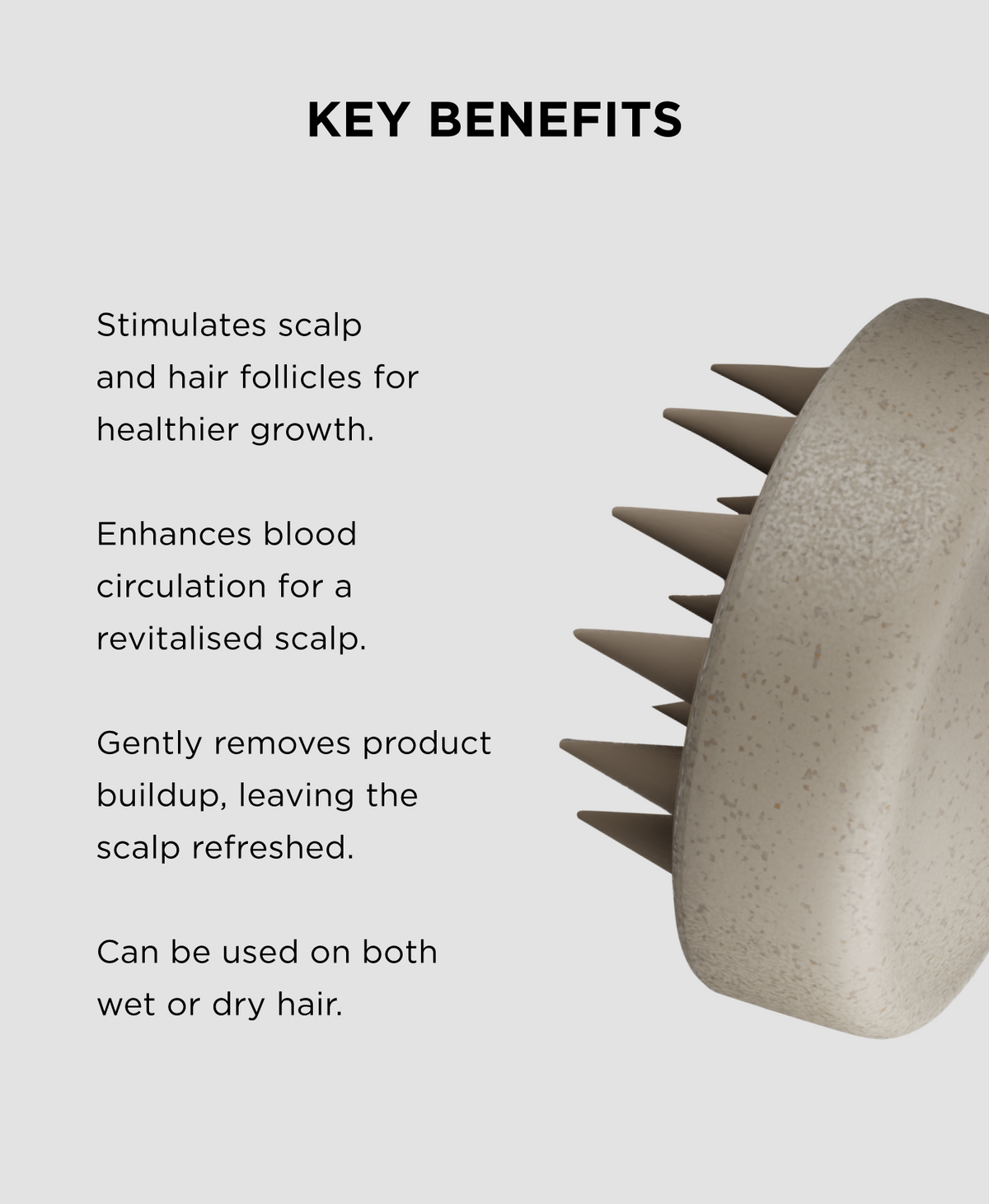 Scalp Brush