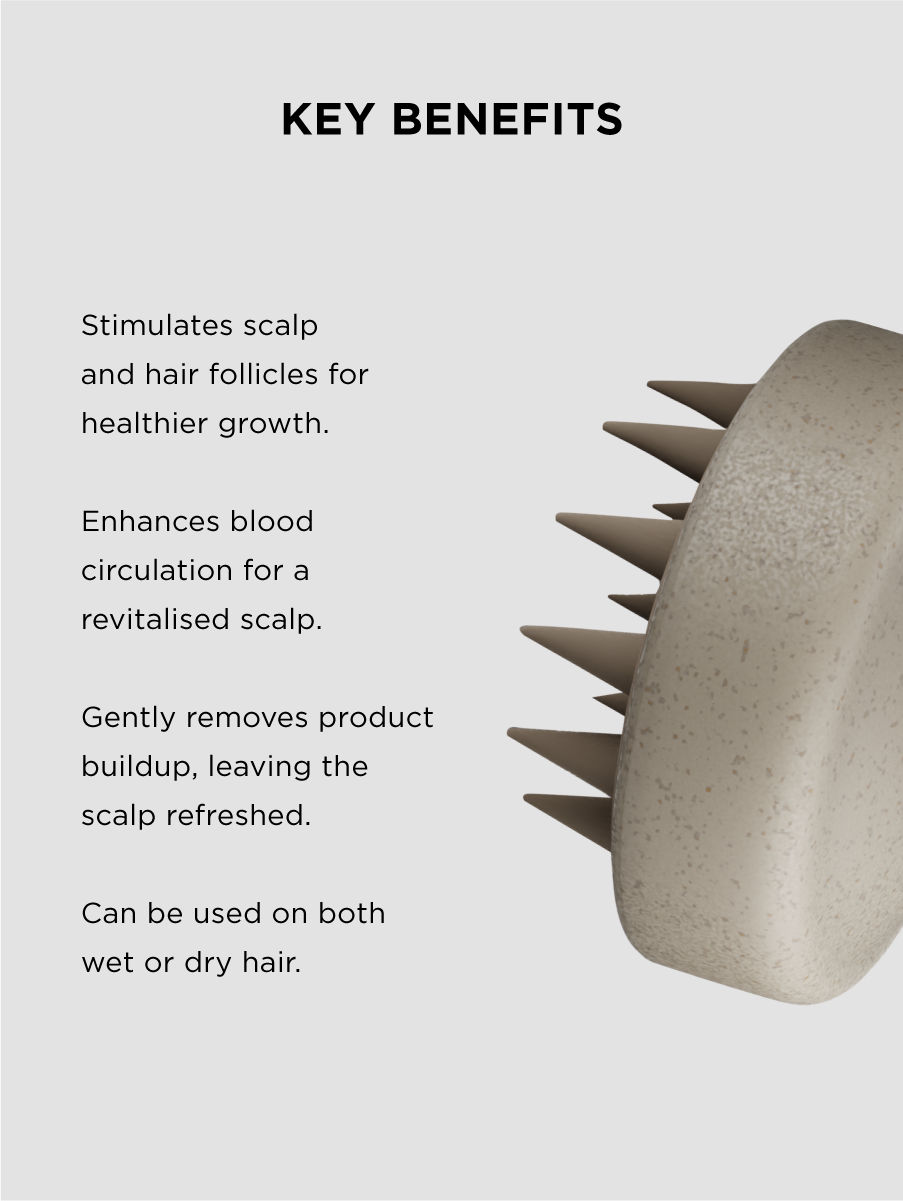 Scalp Brush
